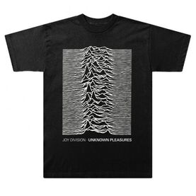 Unknown Pleasures Text Black T-Shirt Dig! Store