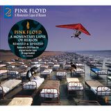 A Momentary Lapse of Reason (2019 remix) [CD]