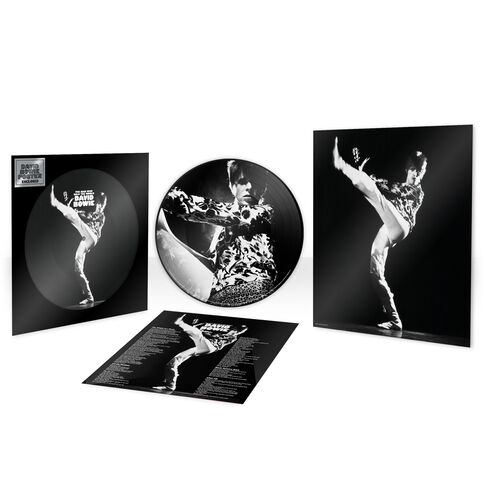 The Man Who Sold The World (12" Picture Disc)