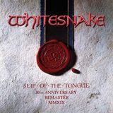 Slip of the Tongue (Deluxe Edition - 2019 Remaster) [2CD]