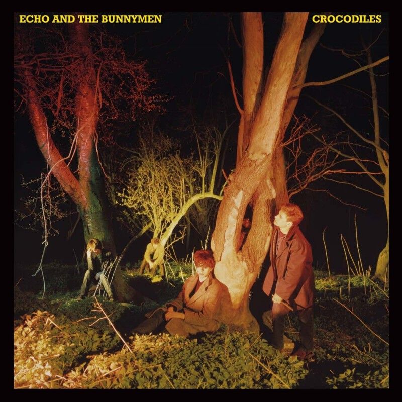 Crocodiles (1LP Black)