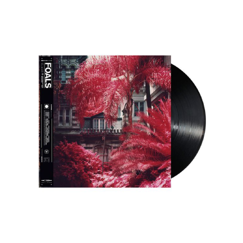 Everything Not Saved Will Be Lost &ndash; Part 1: Vinyl