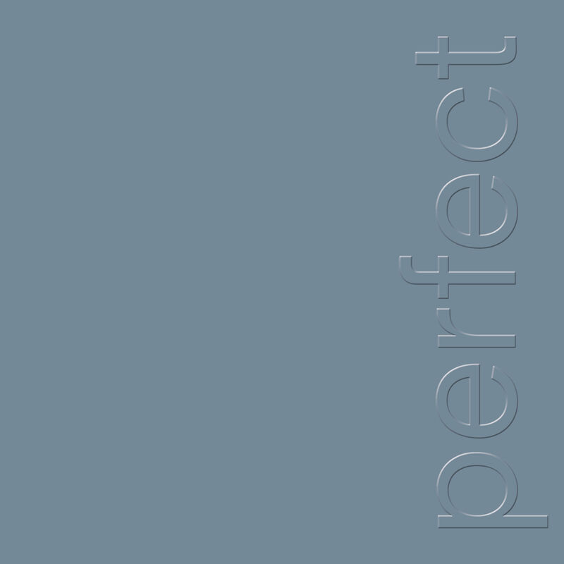 The Perfect Kiss (Black 12" Single)